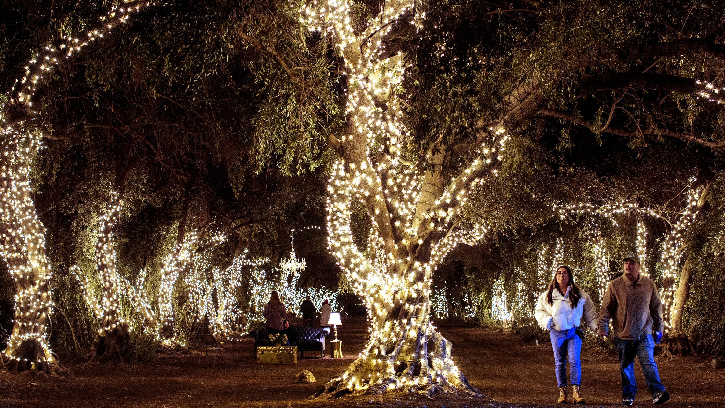 Walkers Christmas Tree Farm Photos