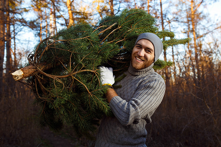 Christmas Tree Farms in Delaware