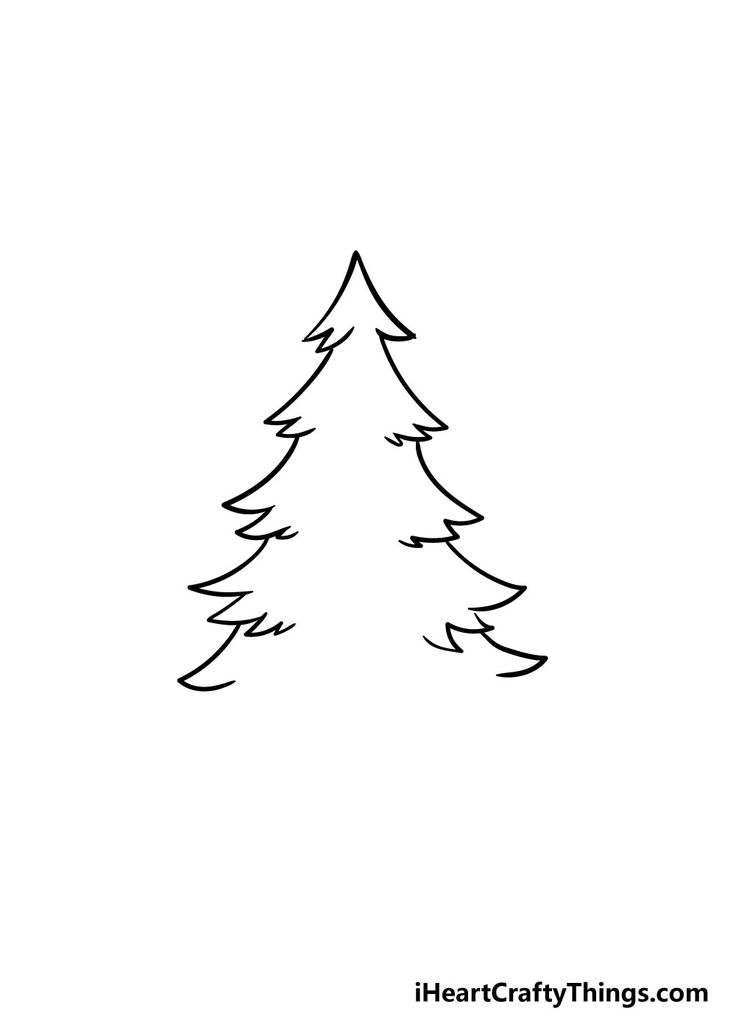 Christmas Tree Sketches