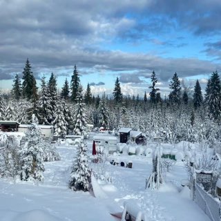 Green Acres Christmas Tree Farm