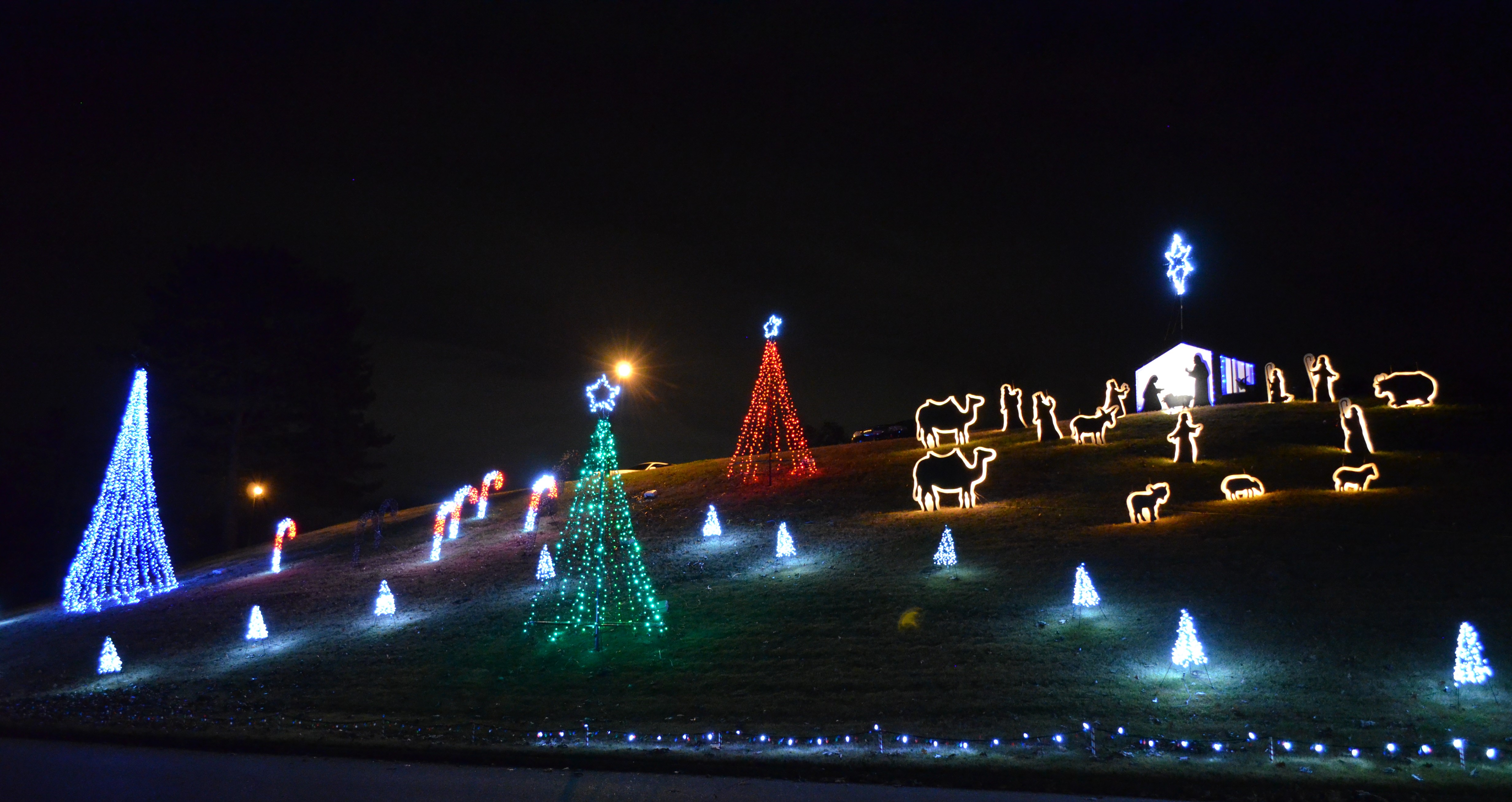 Christmas Lights at Concordia