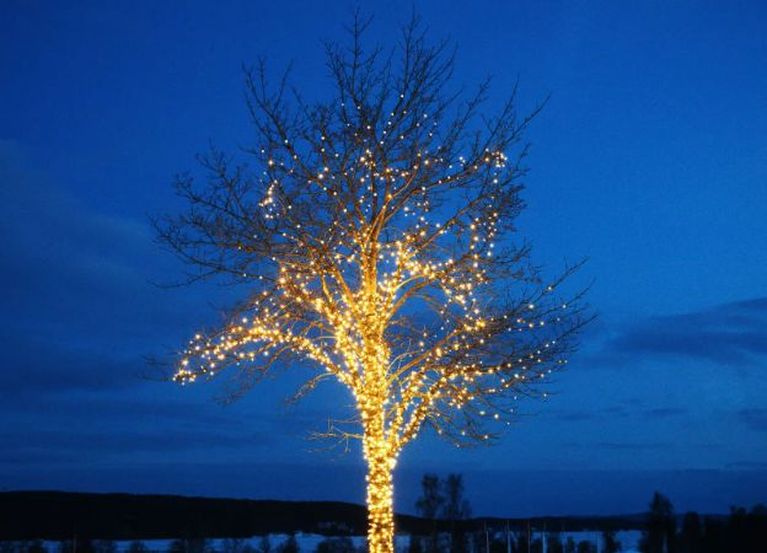 Christmas tree lighting ideas inspiration