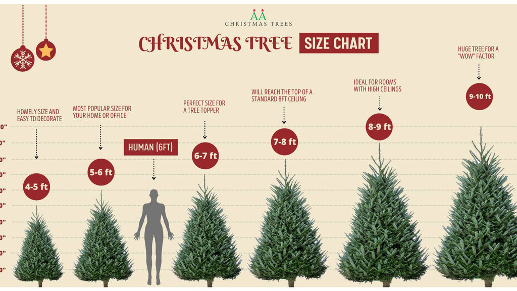 15 Ft Christmas Tree Buying Guide