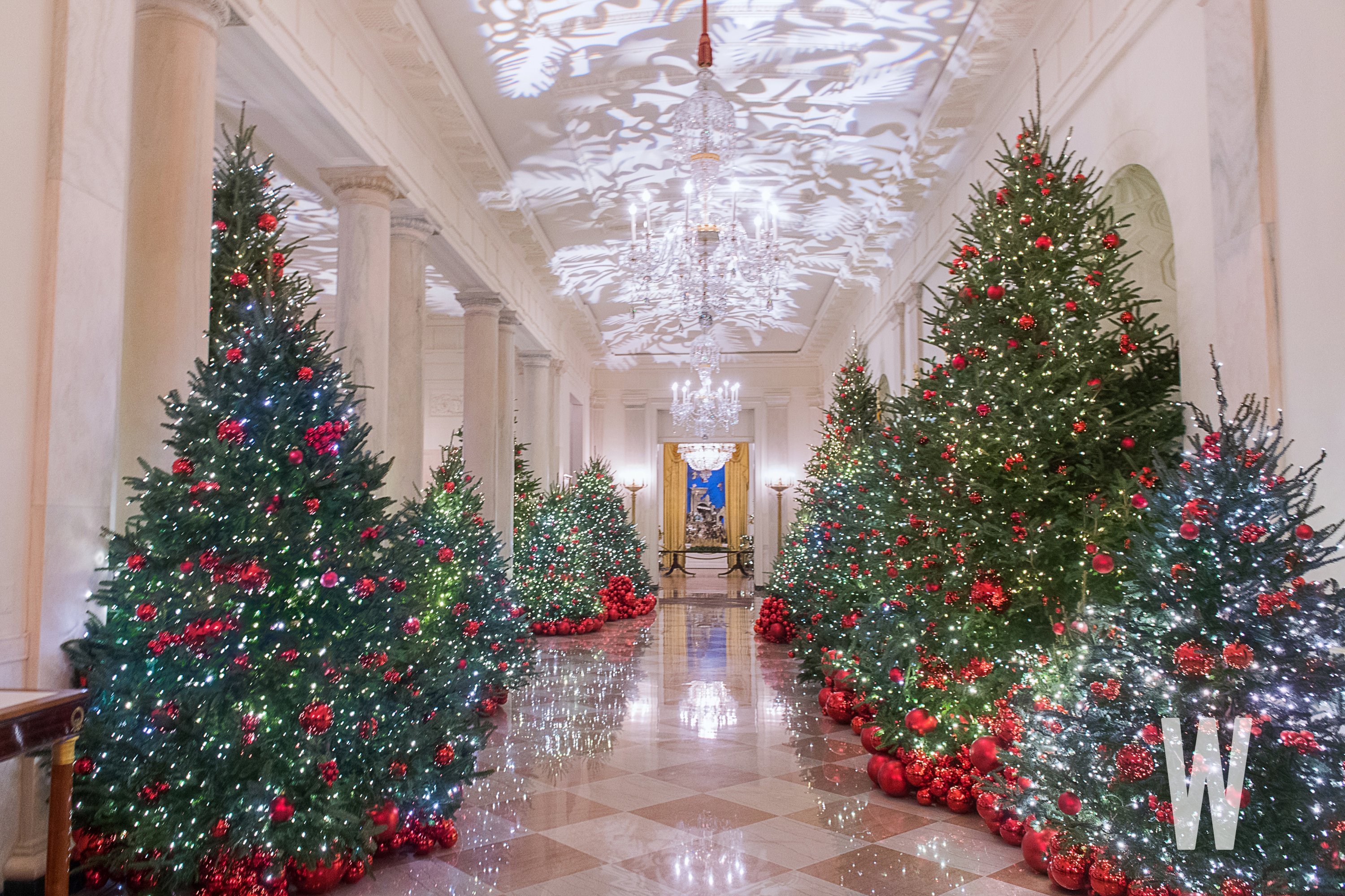 2018 White House Christmas Tree Display