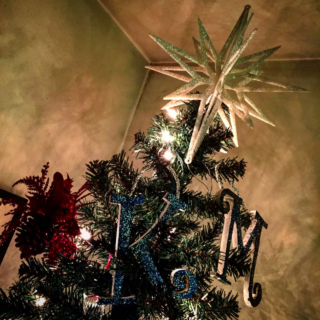 Bethlehem Star Christmas Tree Ideas