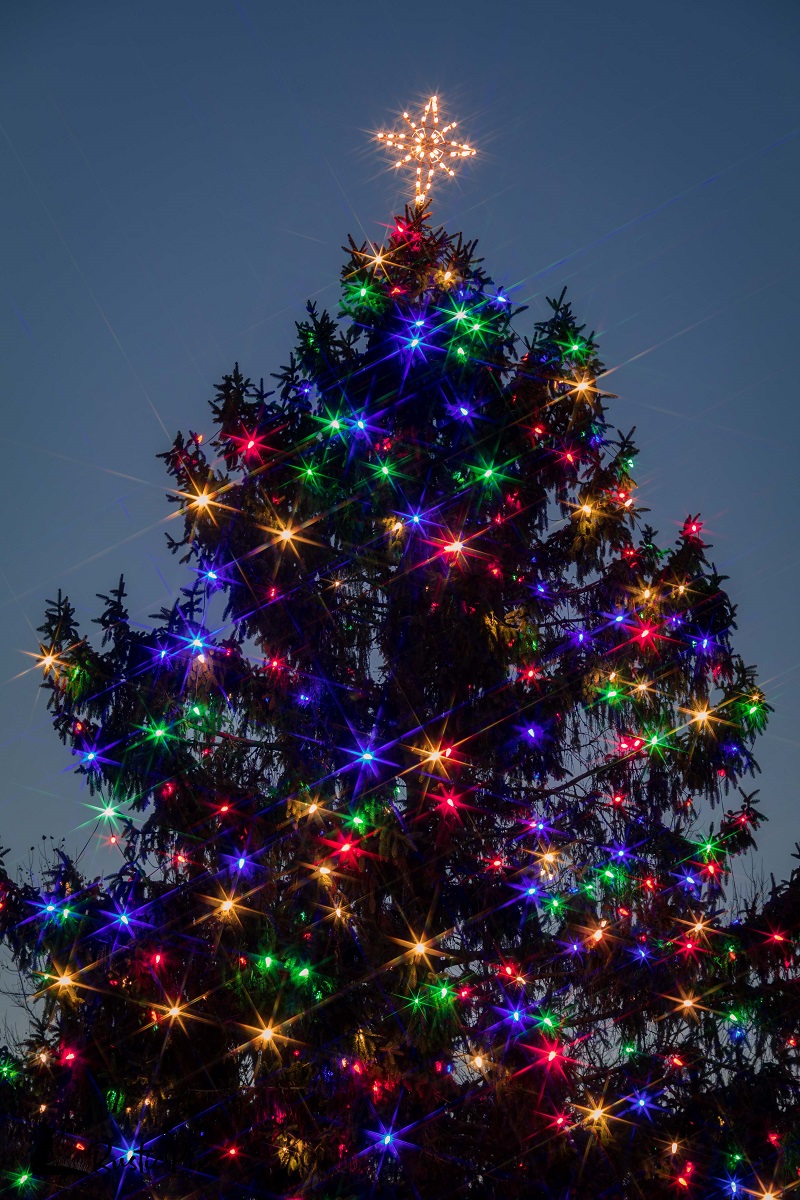 Christmas Tree Lights Photography Ideas