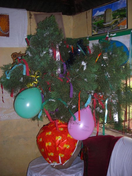 Kenyan Christmas Tree Ideas Pictures