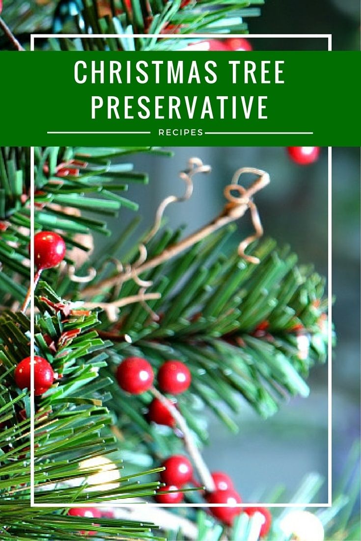 5 Best Christmas Tree Preservatives To Try