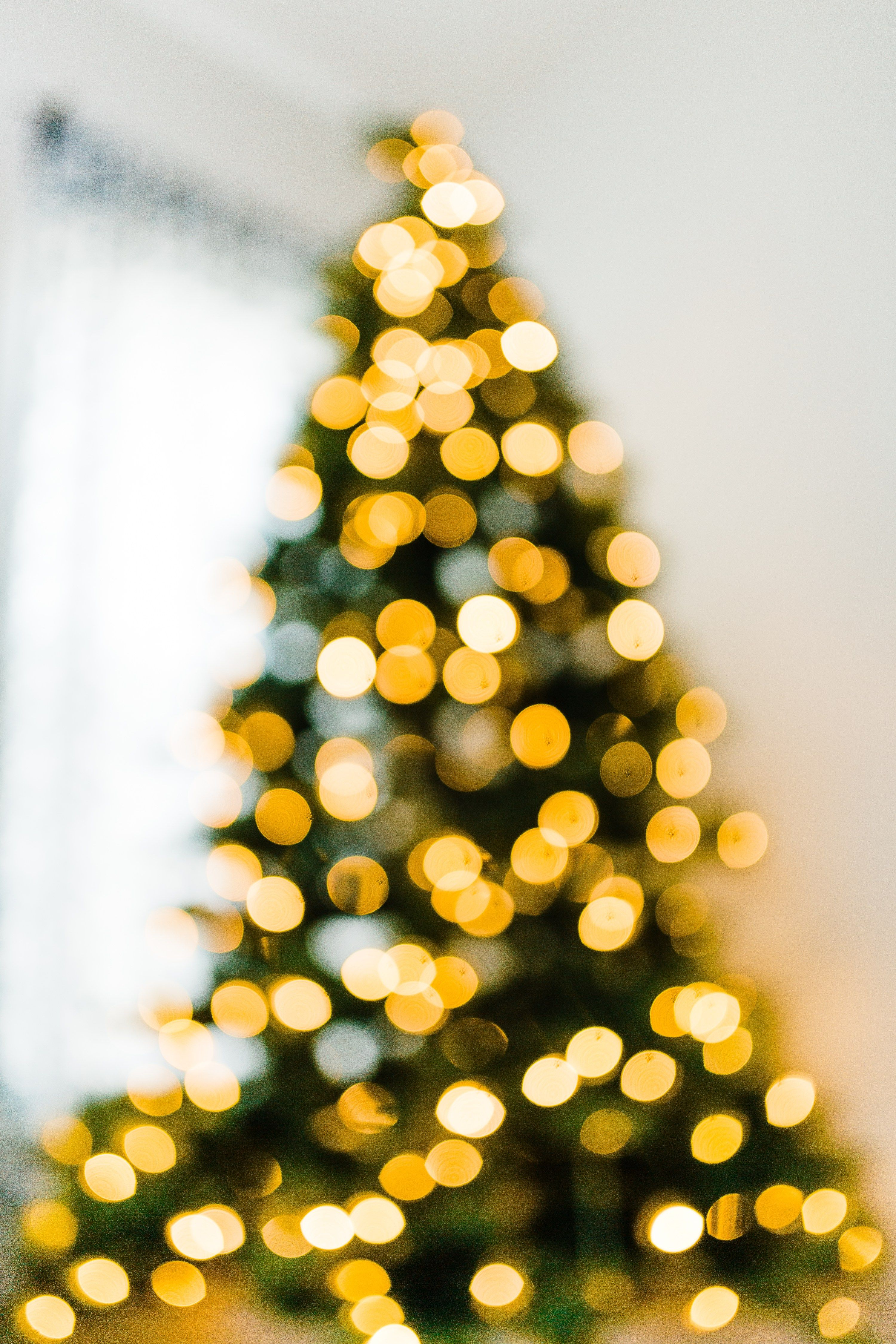 7 Ways To Fix A Blurred Christmas Tree Photo