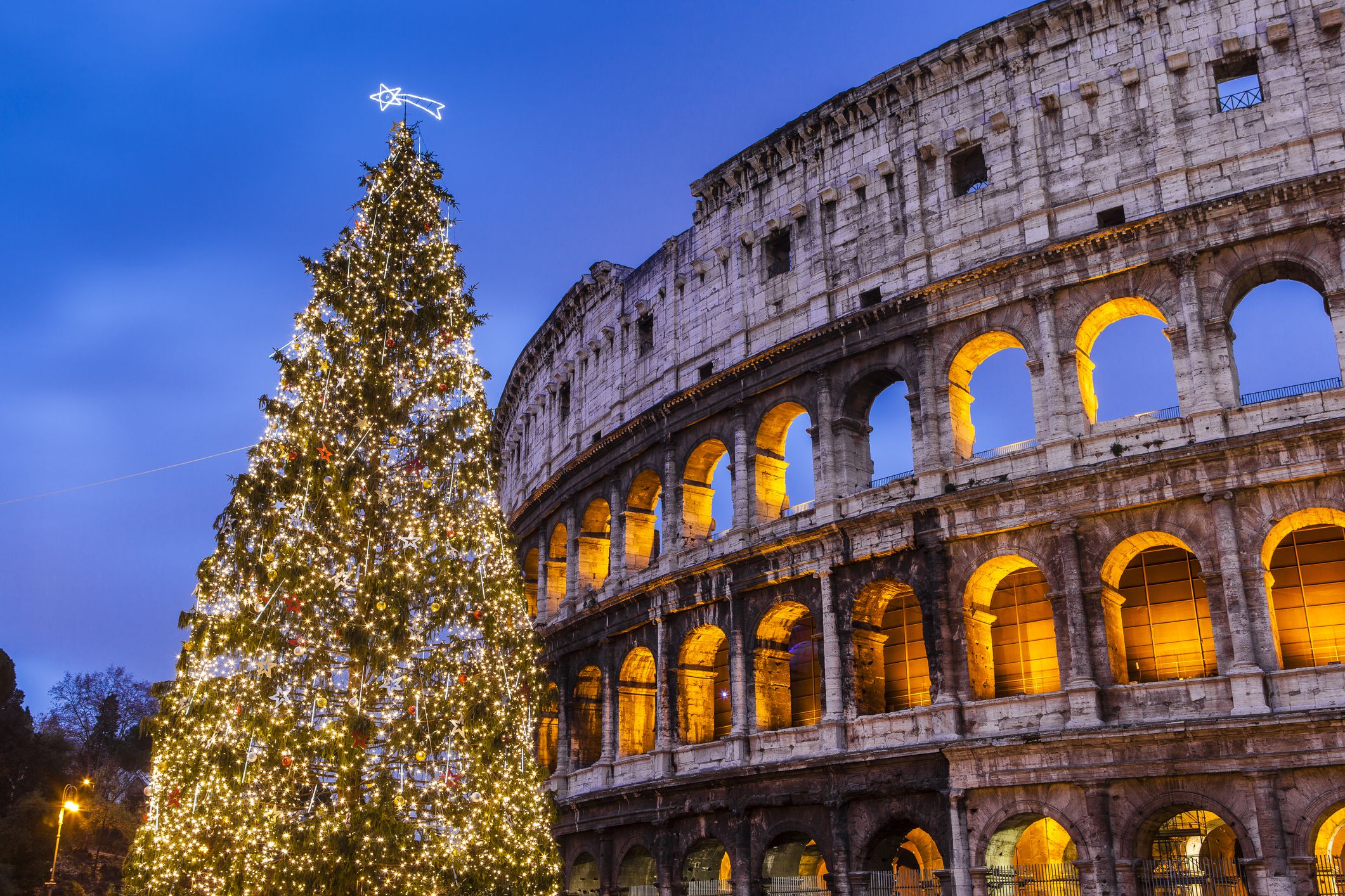 Christmas Tree in Rome