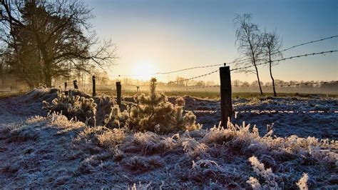 Winter Solstice