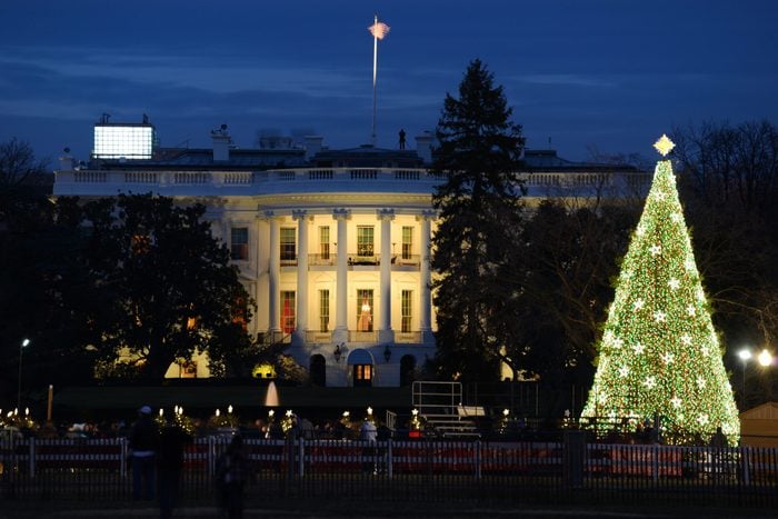 Best White House Christmas Tree