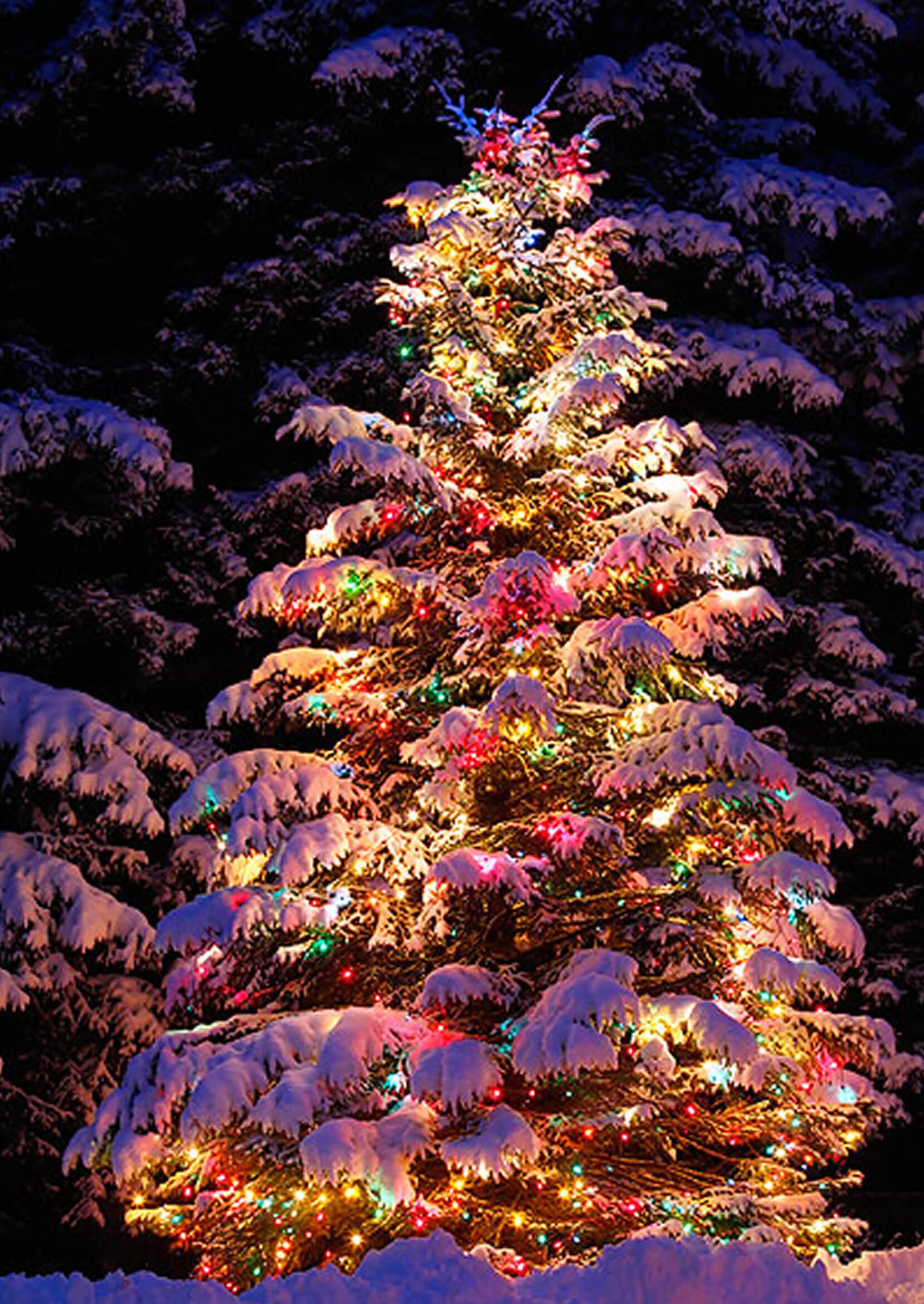 Christmas Tree Lights Ideas