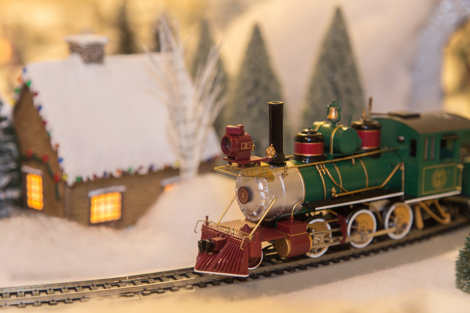 Festive Train Display