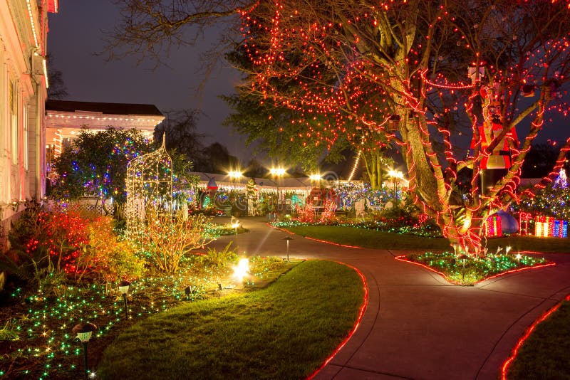 Albany Christmas Tree Farm