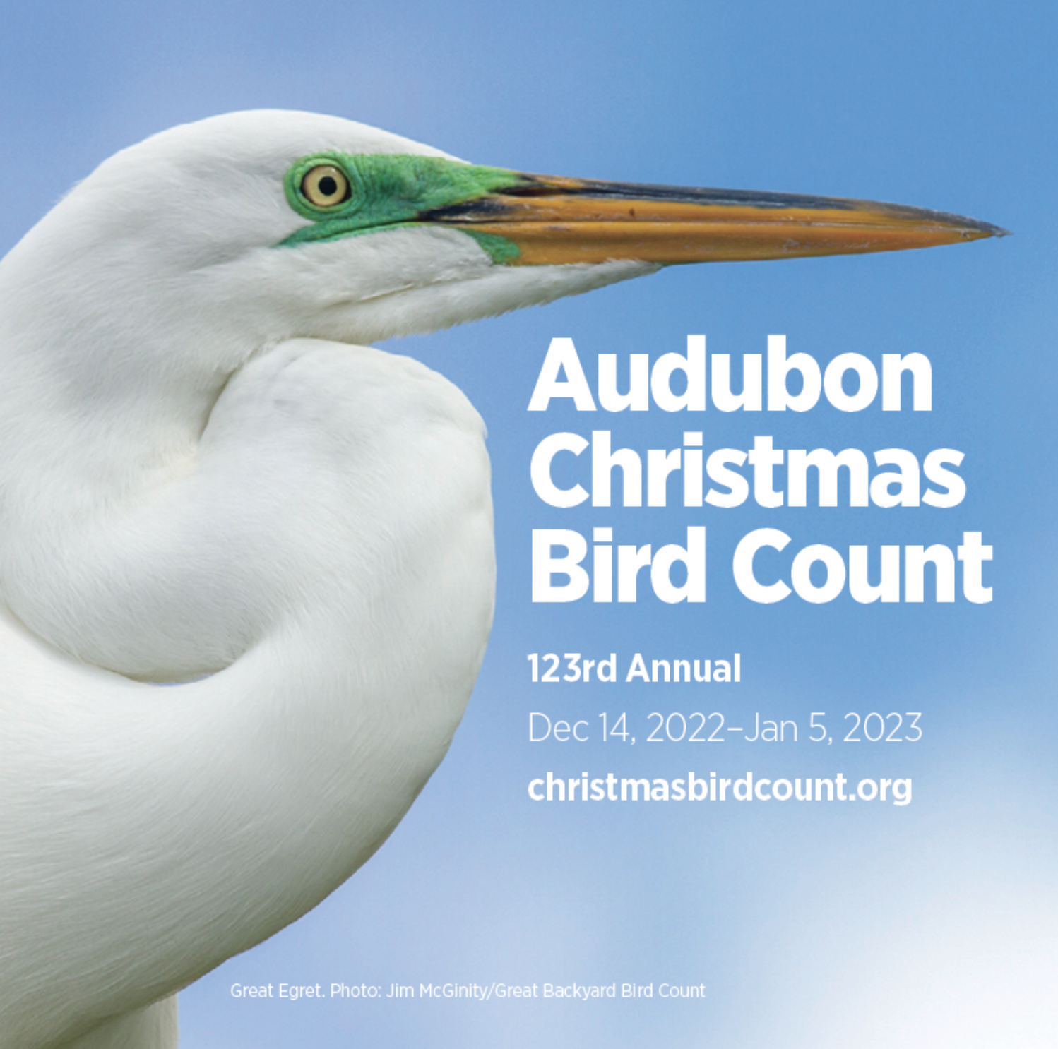 Audubon Christmas Bird Count Trends Revealed