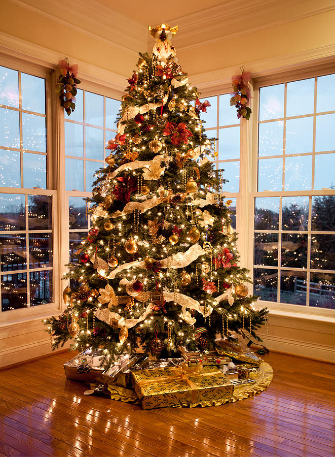 Beautiful Christmas Tree