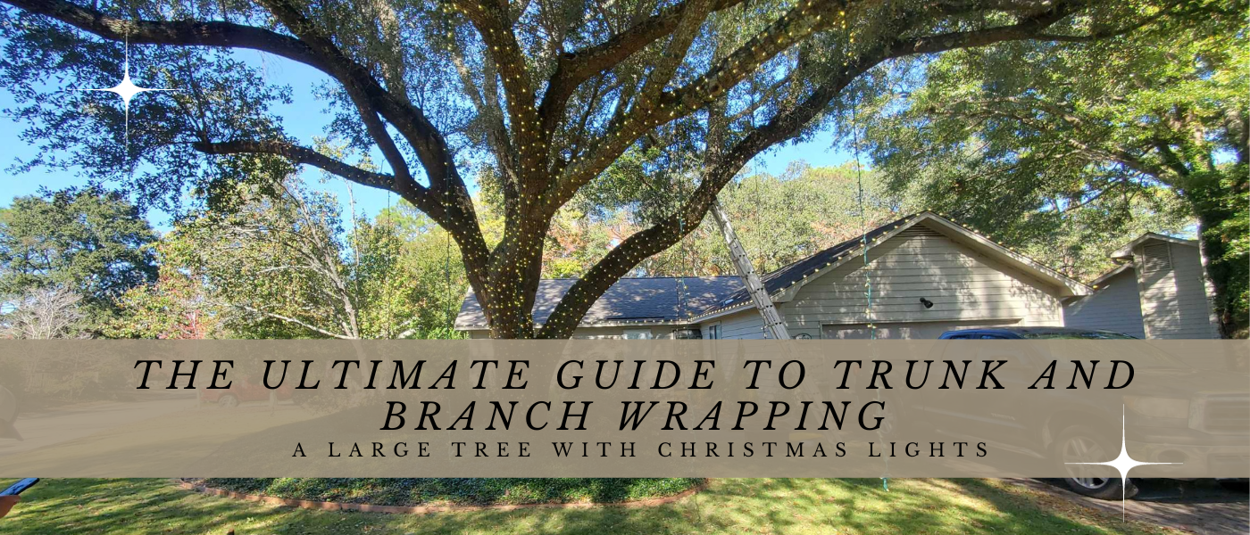 Ribbon garland wrapped around Christmas tree branches