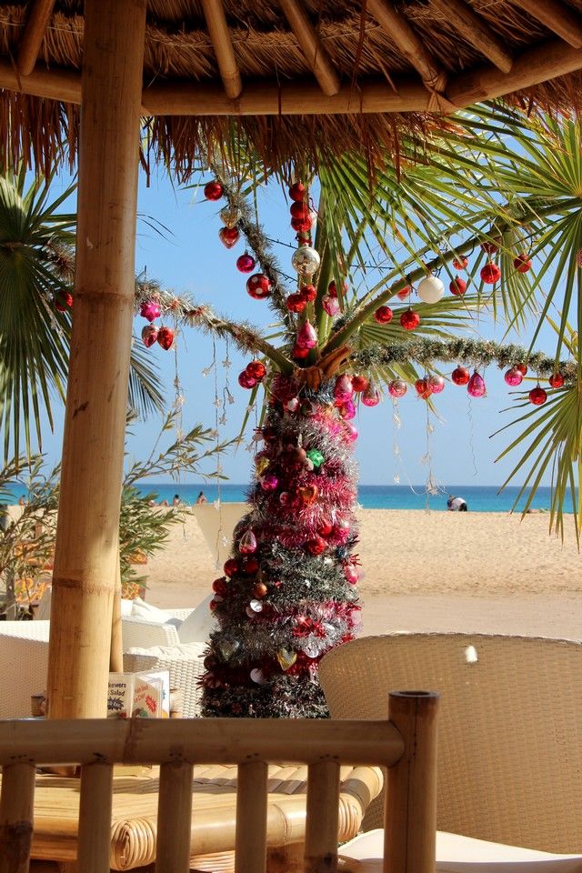 Cape Verde Christmas Gallery