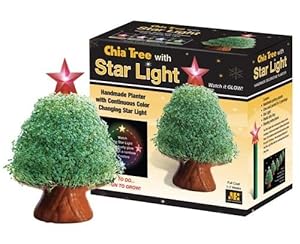 Chia Christmas tree lighting