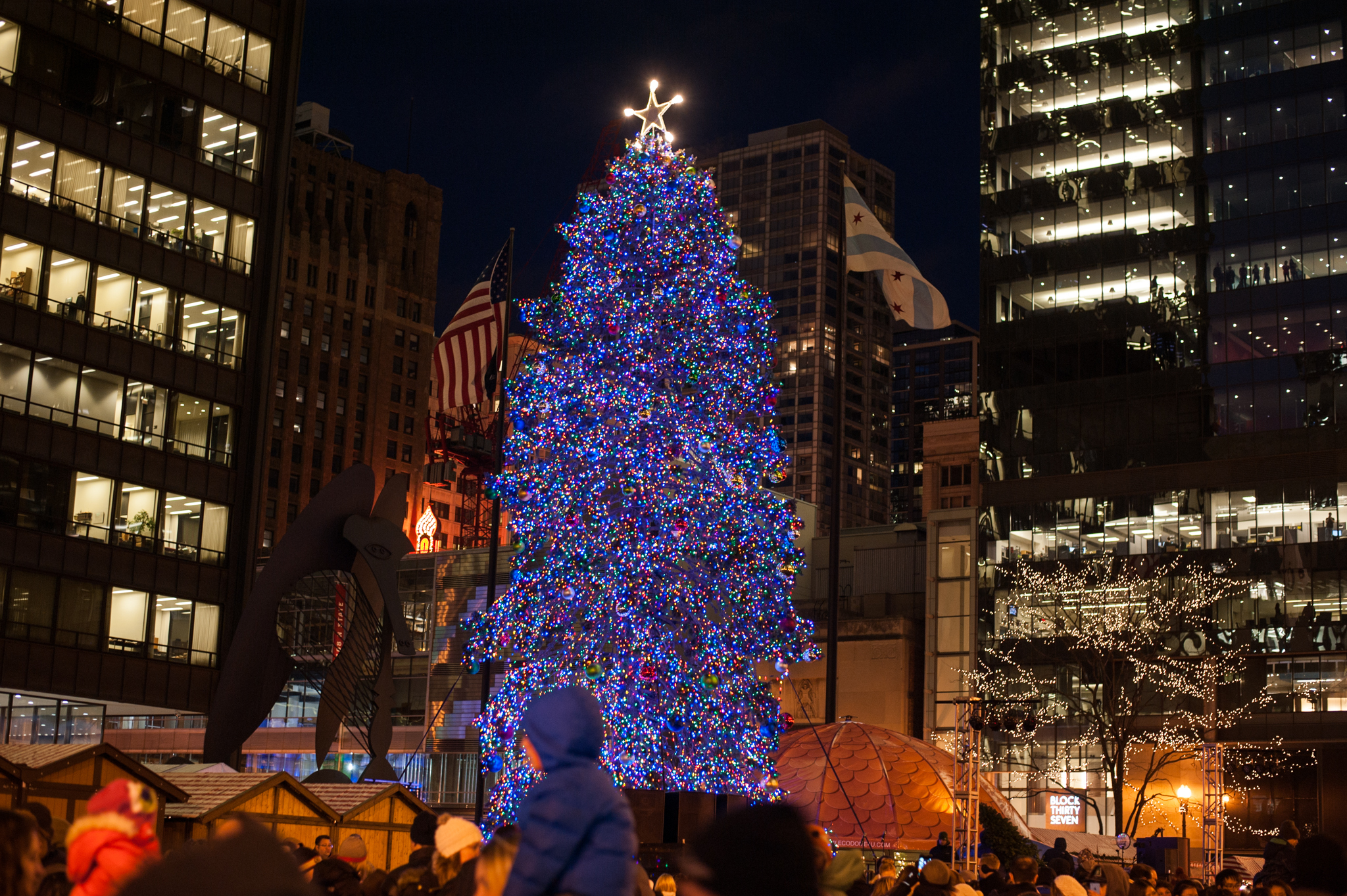 Chicago Christmas Tree Lighting