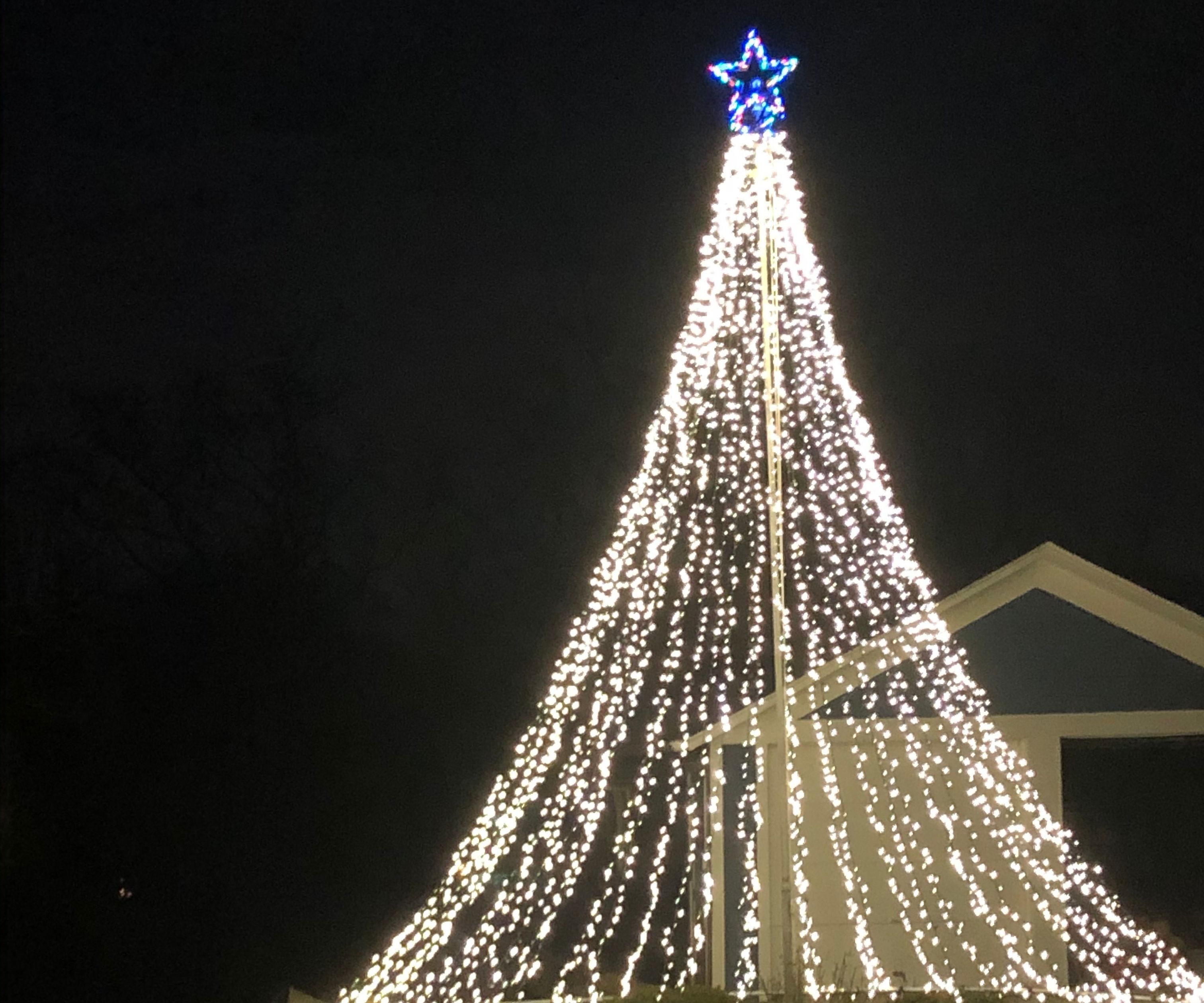 Christmas Lights Flag Pole Ideas