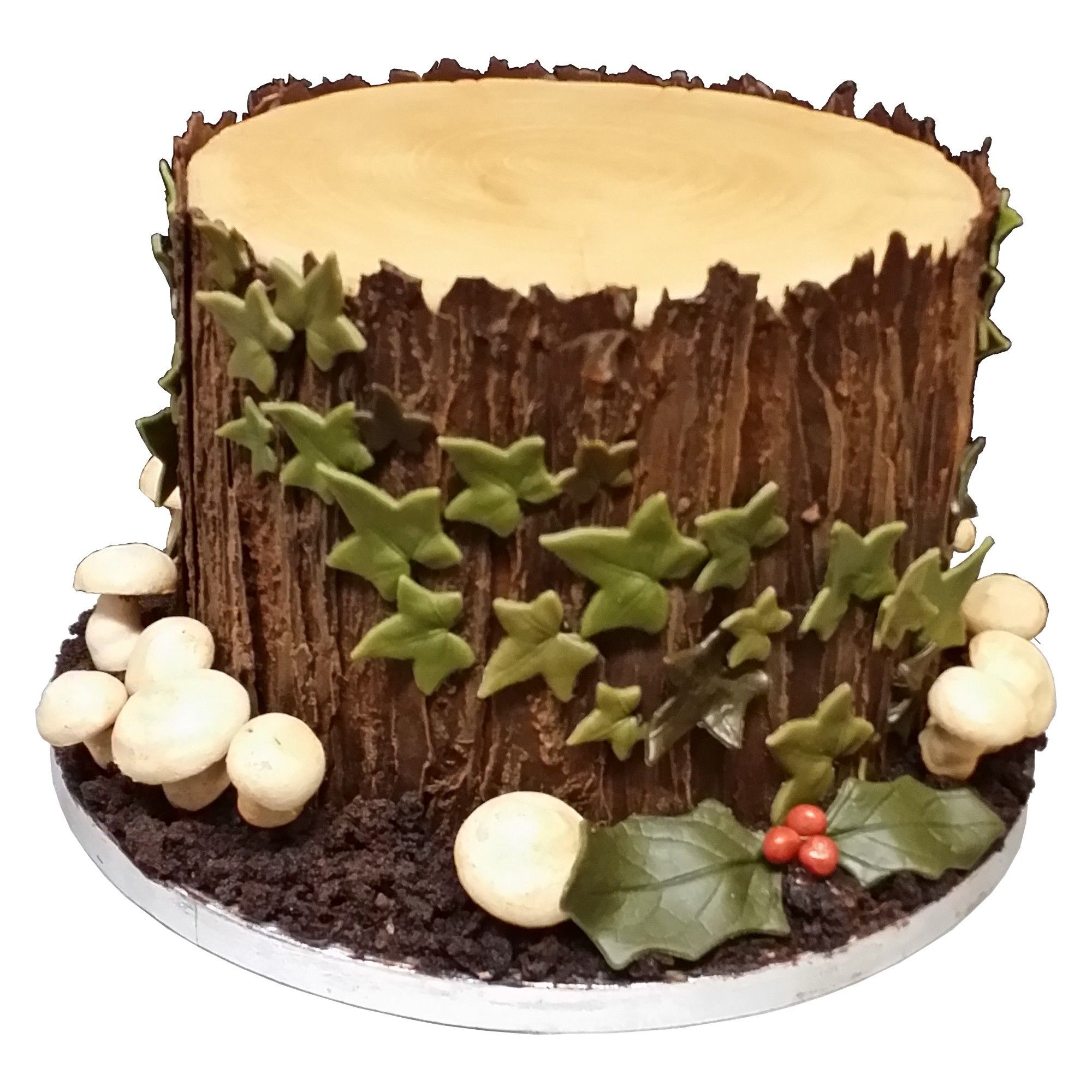 Christmas Log Cake with Fondant Decorations