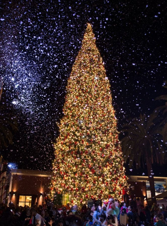 Christmas Tree at Fashion Island Atmosphere