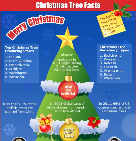 Fun facts about Christmas trees