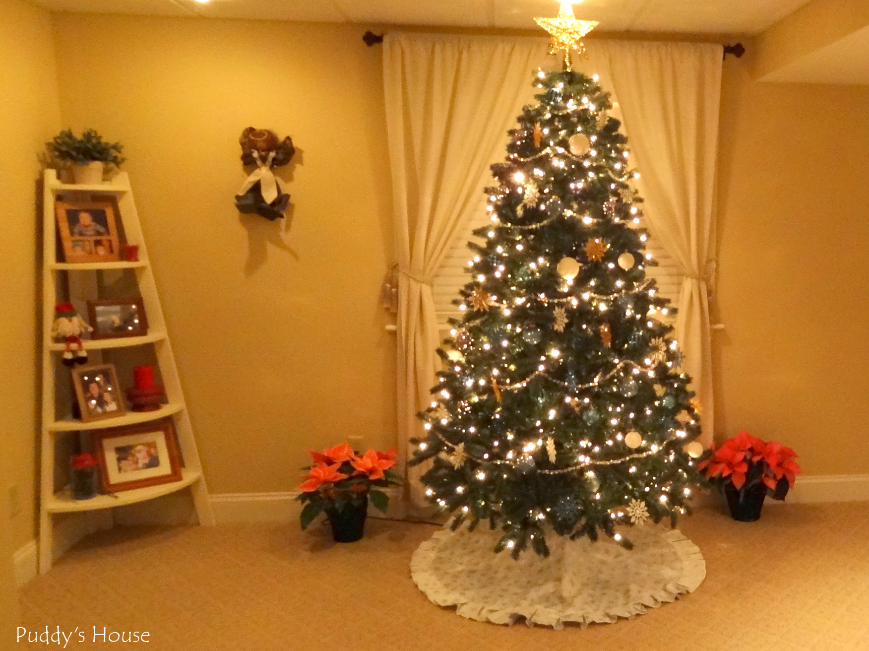 Christmas Tree in Basement