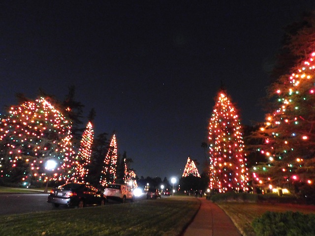 Christmas Tree Lane in San Marino