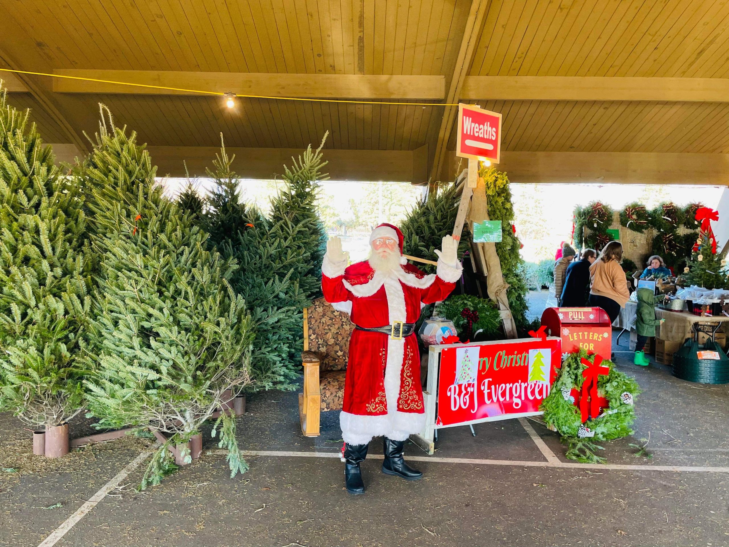 Christmas tree retail lot