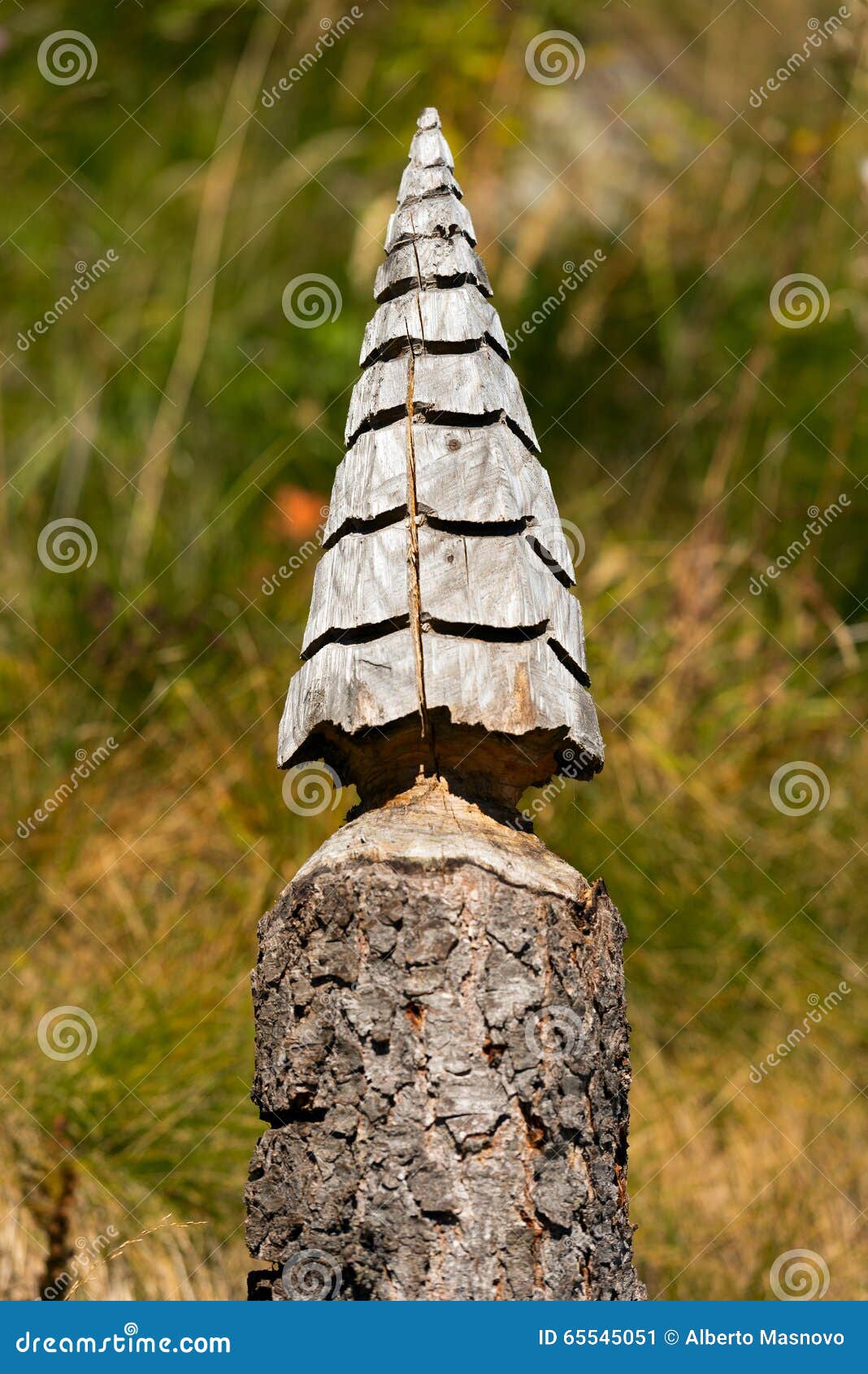 Christmas Tree Trunk