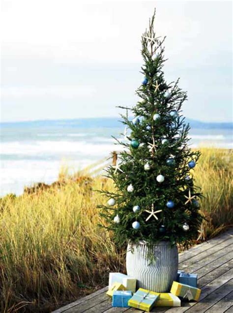 Coastal Peanut Christmas Tree