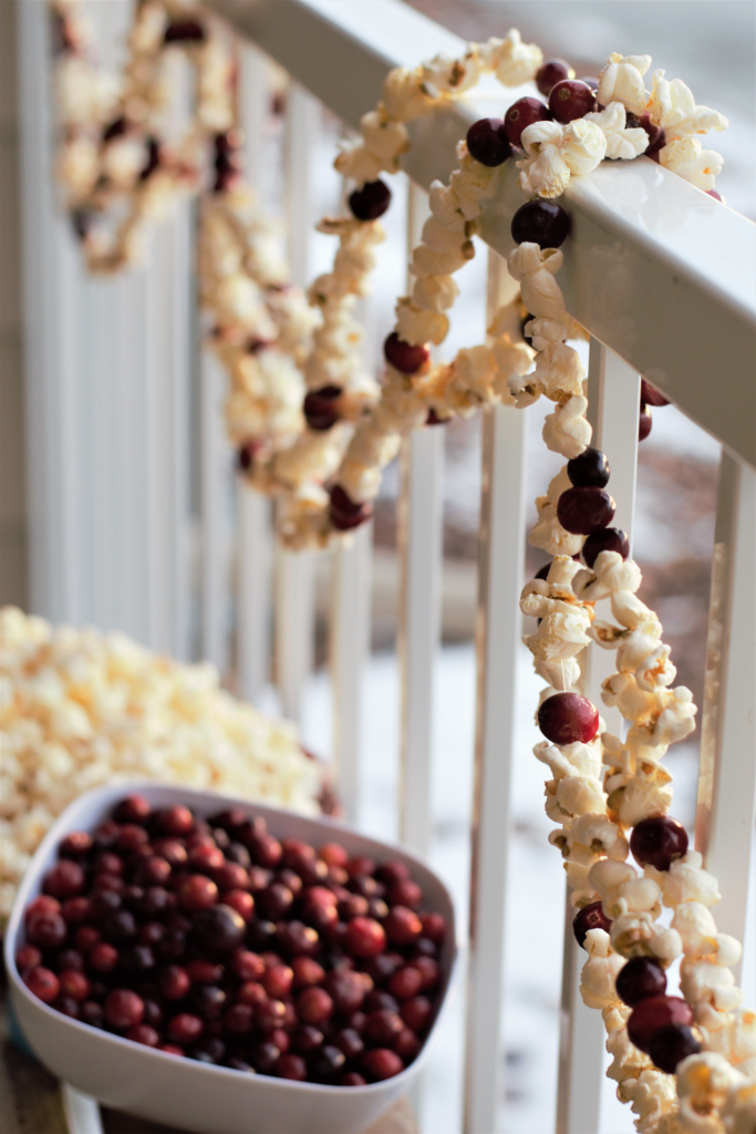 DIY Popcorn Garland