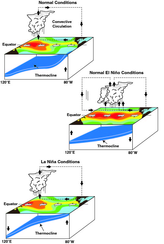 El Niño-Southern Oscillation