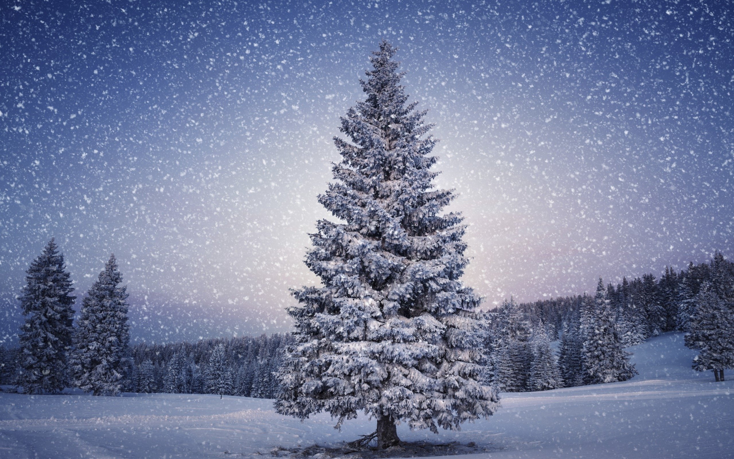 Frosty Winter Christmas Tree