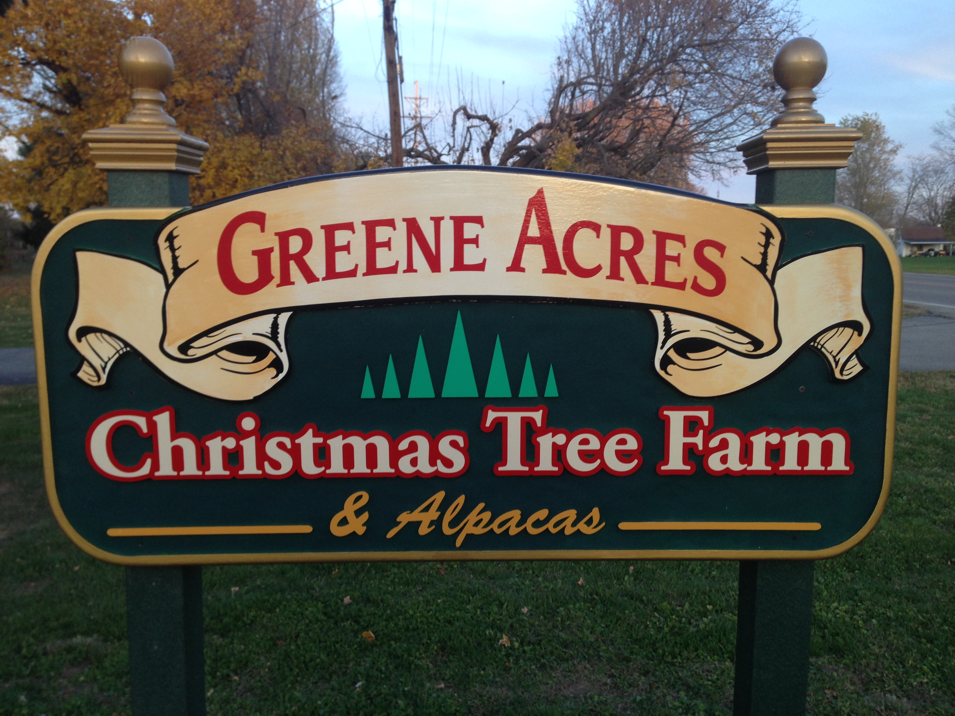 Green Acres Christmas Tree Farm