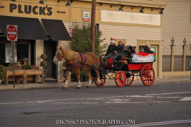 Horse-Drawn Carriage Ride Red Bank