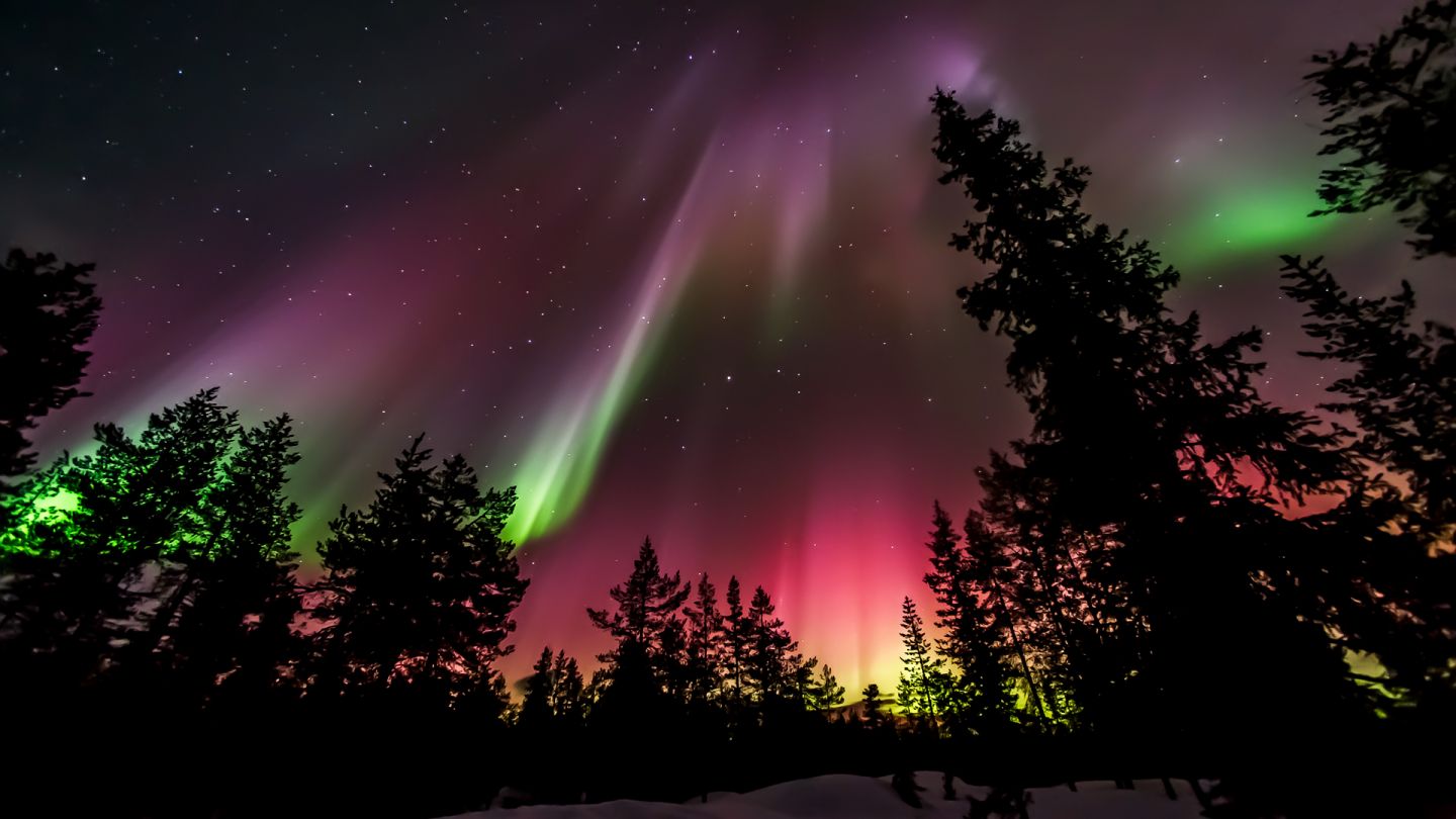 Northern Lights in Lapland