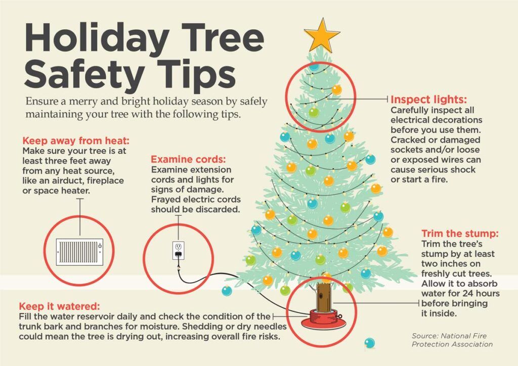 Outdoor Christmas Tree Safety Tips