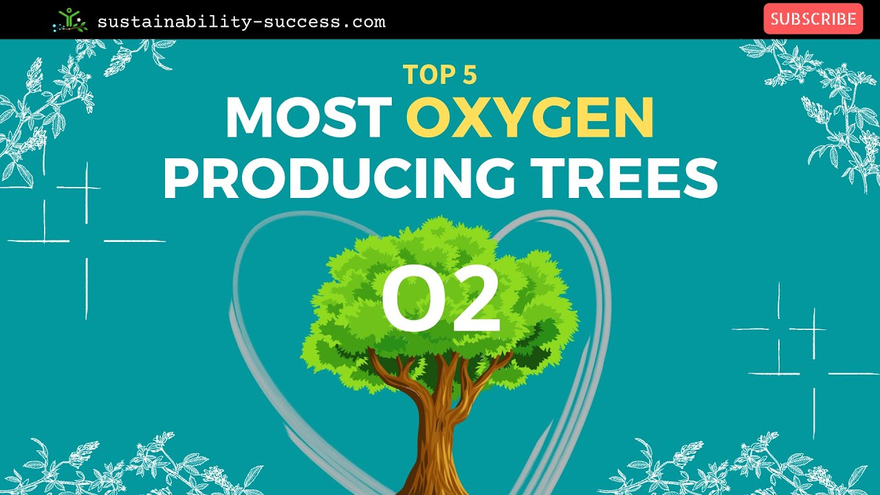 Oxygen Producing Christmas Trees