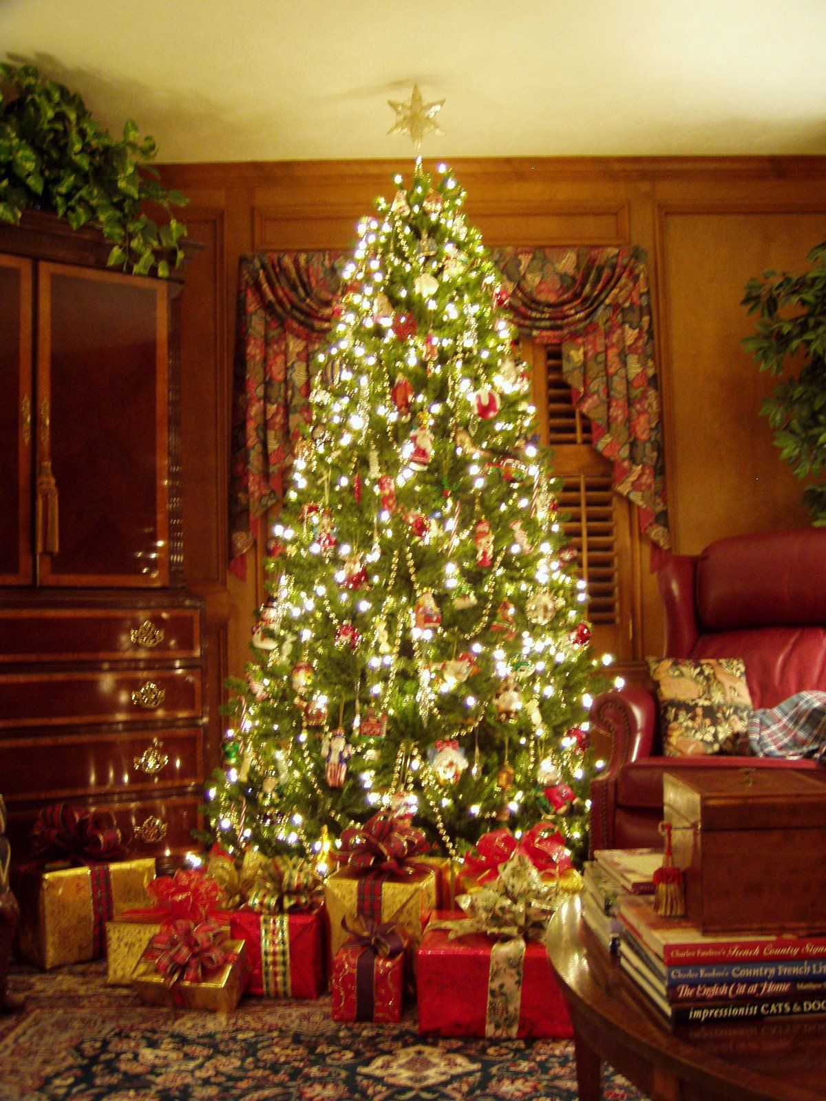 Pictures of Christmas Trees