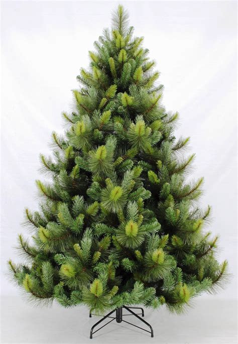 Ponderosa Pine Christmas Tree: A Unique Holiday Choice