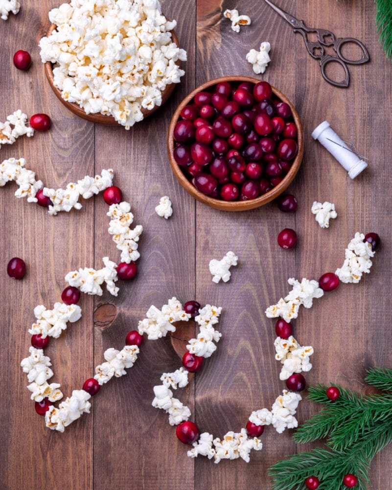 Popcorn and Cranberry Garland