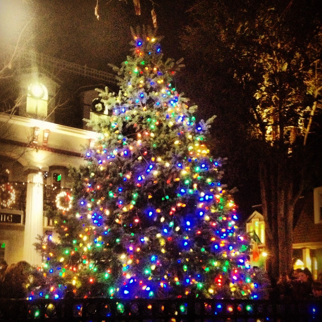 Red Bank Christmas Tree Lighting