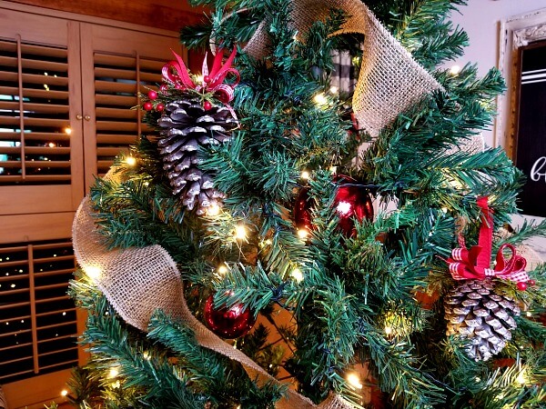 Red Ribbon and Pinecone Combo