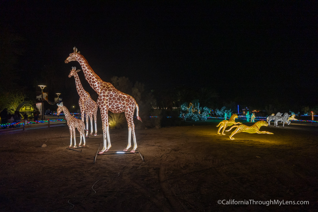 Sacramento Zoo Wild Lights