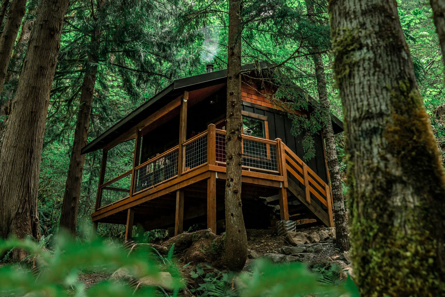 Secluded Cabin