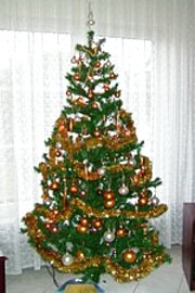 second-hand christmas tree